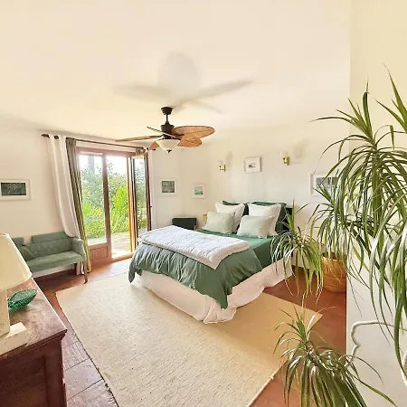 Villa Hau'oli, 4 Chambres, Spacieuse, Piscine Privée, Grand Jardin Fleuri Vue Golf Et 8min à Pied De La