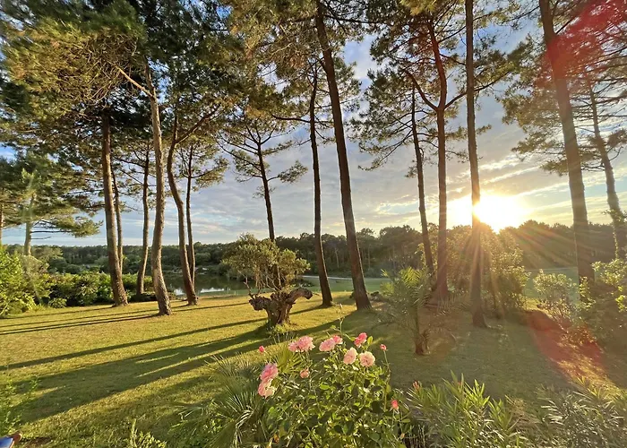 Hau'oli, 4 Chambres, Spacieuse, Piscine Privee, Grand Jardin Fleuri Vue Golf Et 8min A Pied De La Villa